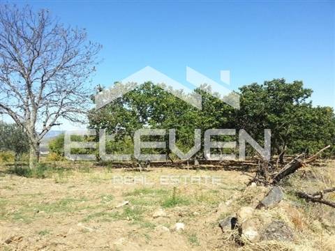 Duas Excelentes Moradias e Terreno Trevões São João Pesqueira