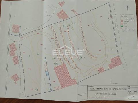 imóvel restaurar;investimento