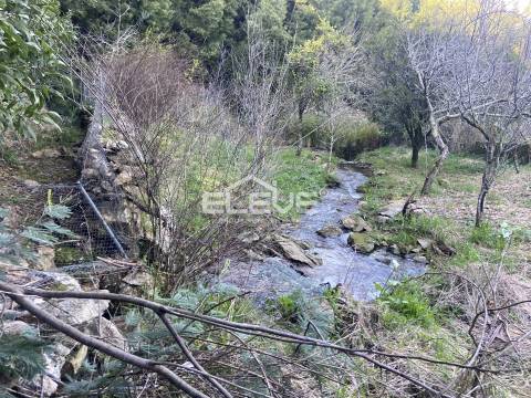 Moradia Devoluta T2 Venda em Venade e Azevedo,Caminha