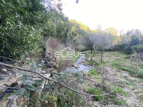 Moradia Devoluta T2 Venda em Venade e Azevedo,Caminha