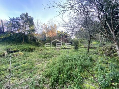 Moradia Devoluta T2 Venda em Venade e Azevedo,Caminha