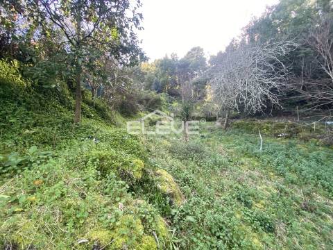 Moradia Devoluta T2 Venda em Venade e Azevedo,Caminha