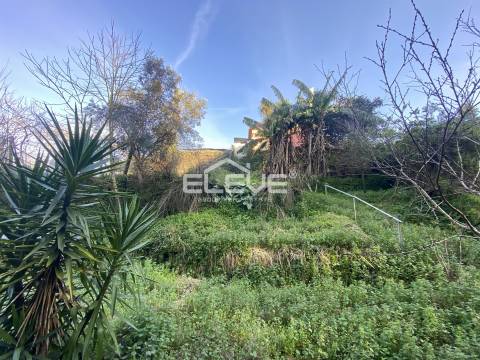 Moradia Devoluta T2 Venda em Venade e Azevedo,Caminha