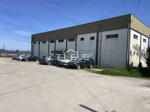 Armazém Comercial/Industrial com Terreno