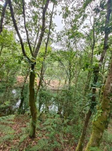 Terreno  Venda em Antas,Esposende