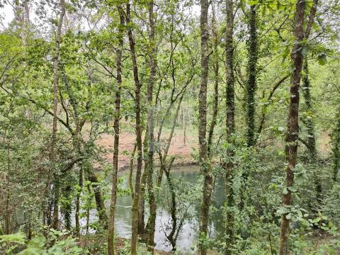 Terreno  Venda em Antas,Esposende
