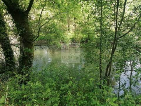 Terreno  Venda em Antas,Esposende