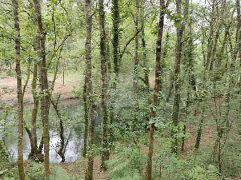 Terreno  Venda em Antas,Esposende