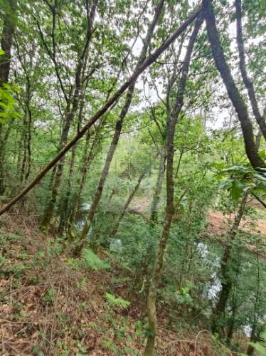 Terreno  Venda em Antas,Esposende