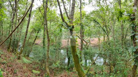 Terreno  Venda em Antas,Esposende