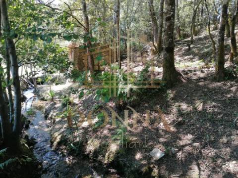 Chalet T0 Venda em Sapardos,Vila Nova de Cerveira