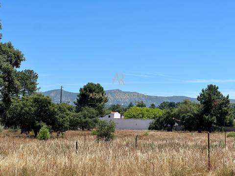 QUINTA COM TERRENO DE 2.95HA EM AO LADO DO SITIO DO PICÃO