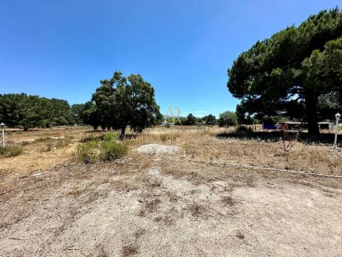 QUINTA COM TERRENO DE 2.95HA EM AO LADO DO SITIO DO PICÃO
