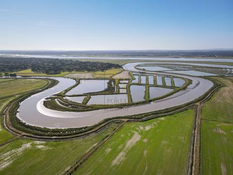 Moradia térrea,  pequena aldeia alentejana, rodeada pelos longos campos de arroz e pelo rio sado.