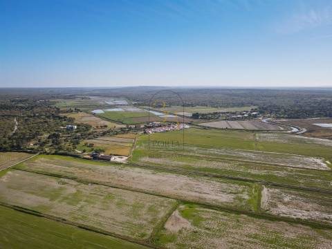 Moradia térrea,  pequena aldeia alentejana, rodeada pelos longos campos de arroz e pelo rio sado.