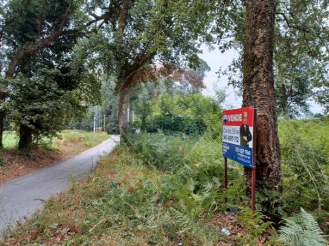 Terreno  para venda