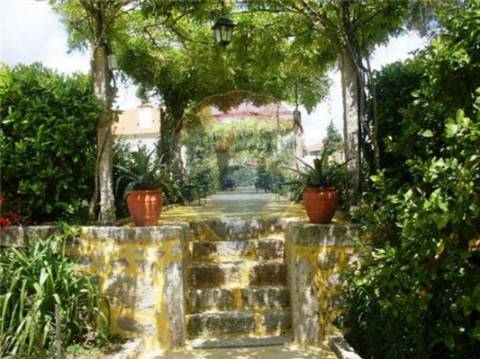 Quinta T6 para venda