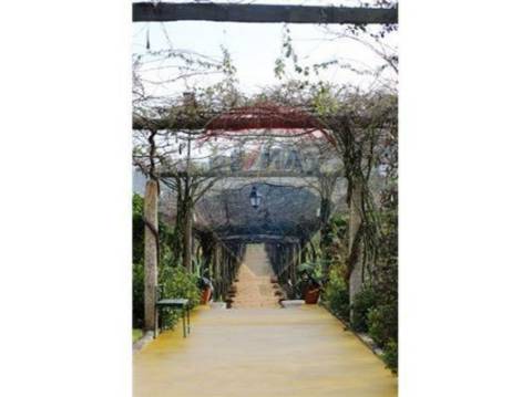 Quinta T6 para venda