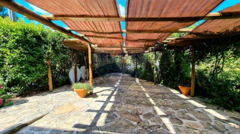 Outros - Comercial  para venda