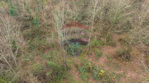 Quinta T3 para venda