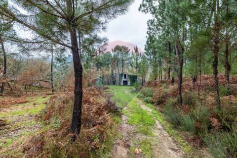 Quinta T3 para venda