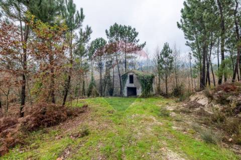 Quinta T3 para venda