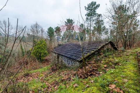 Quinta T3 para venda