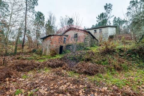 Quinta T3 para venda