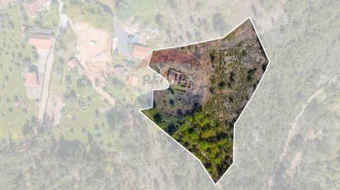 Moradia T0 para venda