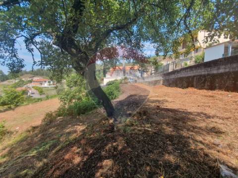 Moradia T0 para venda