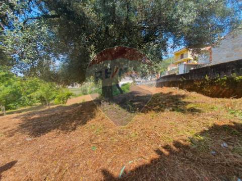 Moradia T0 para venda