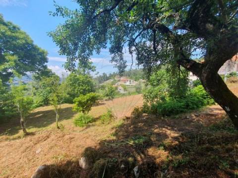 Moradia T0 para venda