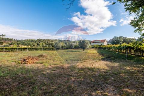 Moradia T3 para venda