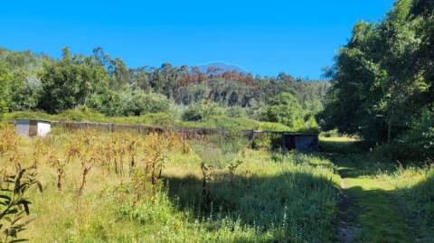 Industrial  para venda