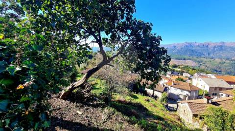 Moradia T0 para venda