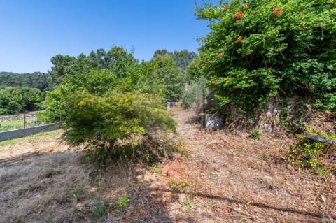 Moradia T0 para venda