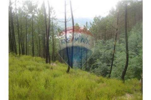 Terreno T0 para venda