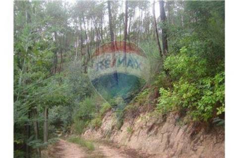 Terreno T0 para venda