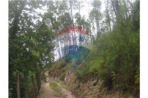 Terreno T0 para venda