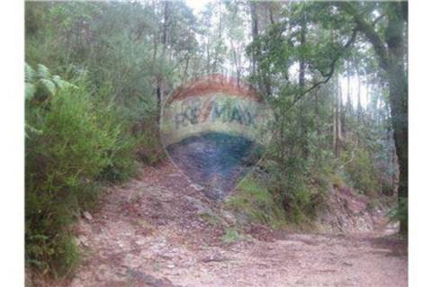 Terreno T0 para venda