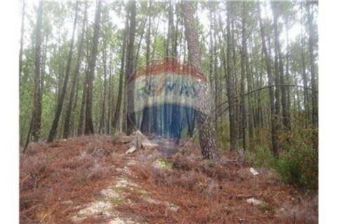 Terreno T0 para venda