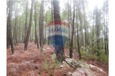 Terreno T0 para venda