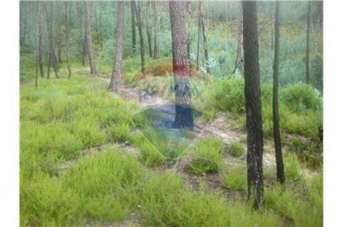 Terreno T0 para venda