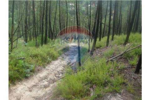 Terreno T0 para venda