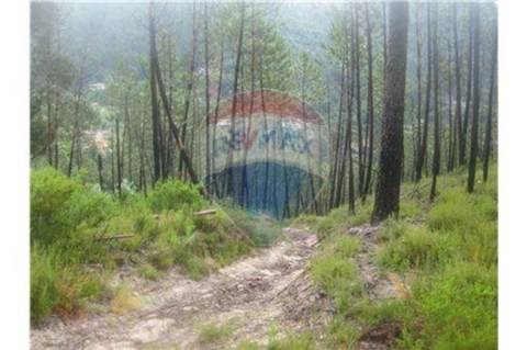 Terreno T0 para venda