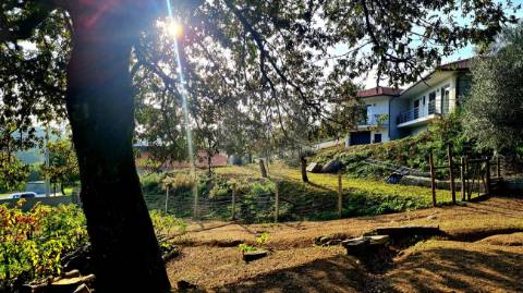 Quinta T3 para venda