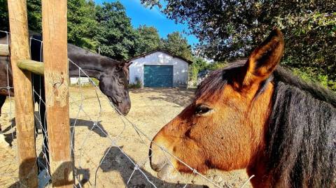 Quinta T3 para venda