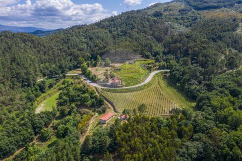 Quinta T0 para venda