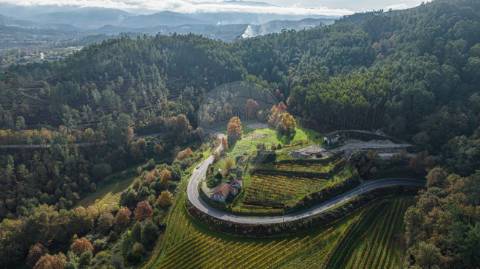 Quinta T0 para venda