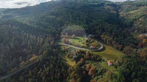 Quinta T0 para venda